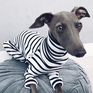 Babepet Fluffy Velvet Greyhound Coat, Whippet Clothes With Legs