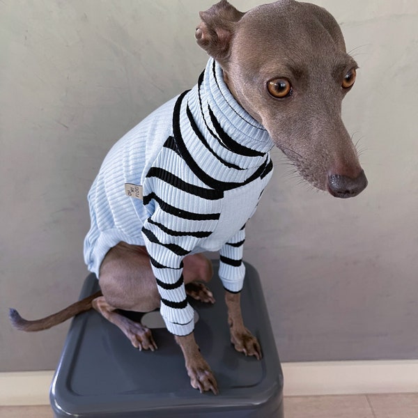 italian greyhound and whippet clothes / iggy clothes / Dog Sweater / stripes dog clothes / ropa para golo italiano y whippet / SKY RAGLAN