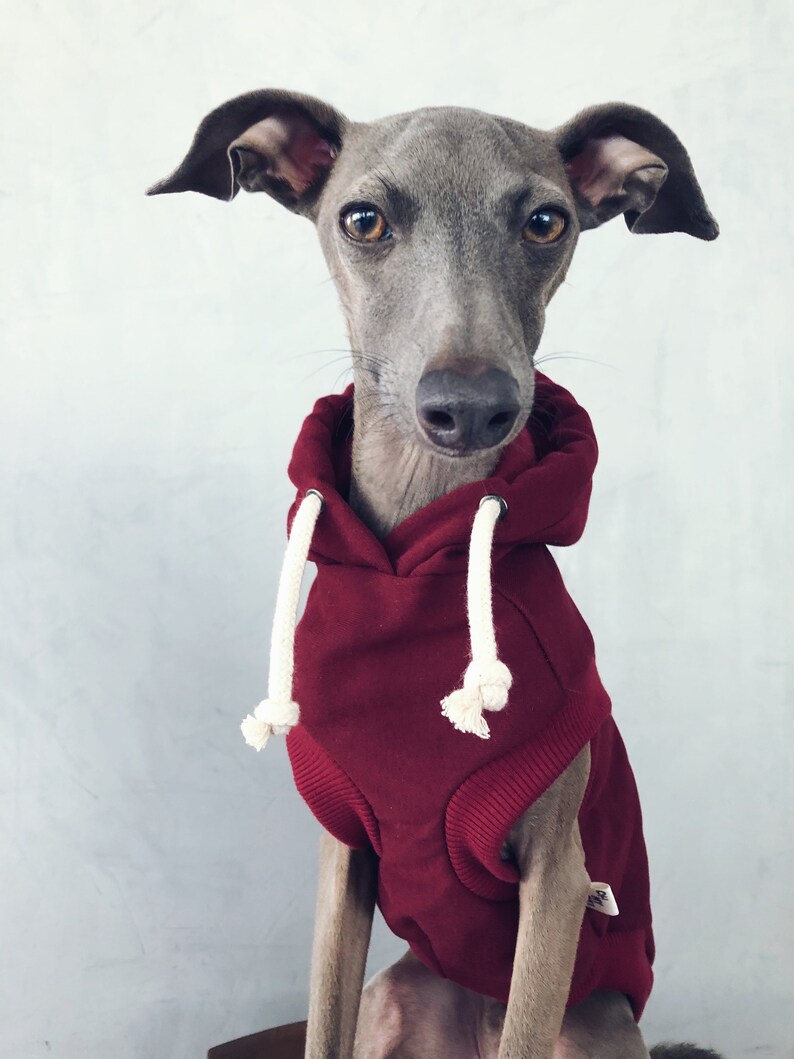 Italian Greyhound Whippet Iggy Meditate Yoga T-Shirt