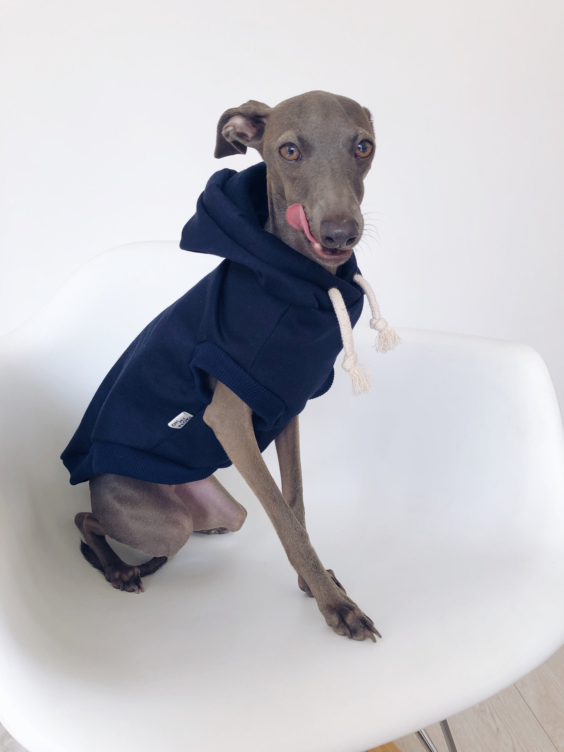 マリア様柄 サイトハウンド用コート（犬服）