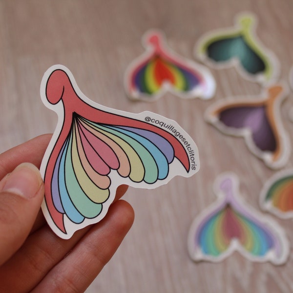 Stickers féministe - Autocollant Coquillage Sororité - Sticker pastel arc-en-ciel - Anatomie sexuelle pride lgbtqia+ queer fierté