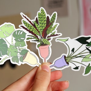 Sticker Plante Cup Féministe - Sororité Pastel Autocollant Règles - Anatomie Sexualité - LGBTQIA+ Queer Sang - Féminisme Santé Menstruations