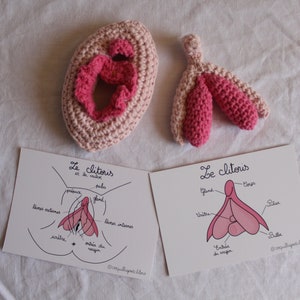 Educational Pack - Anatomical Model Support Educational Set - Sexuality Education Anatomy - Sexual Health - 3D Crochet Plush Toy Life Size