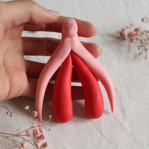 Customizable Life Size Anatomical Model - Feminist Sex Education Teaching Aid Anatomy - Life Size LGBTQIA+ Health