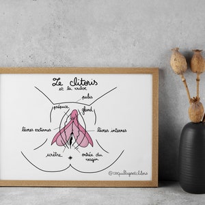 EN DE FR Schéma Éducation Sexuelle - Anatomie Organes Génitaux - Illustration Carte Postale - Affiche Féministe Santé - Support Planche
