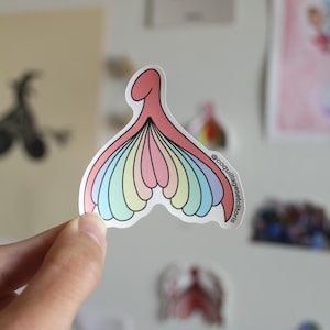 Feministische Aufkleber – Muschelaufkleber für Schwesternschaft – Regenbogenaufkleber in Pastellfarben – Aufkleber für Anatomie-Pride, LGBTQIA+, Queer, Pastell-Pride