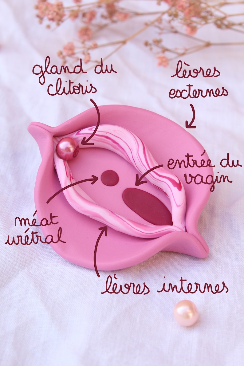 Vulve Personnalisable Taille Réelle Cadeau Féministe Etsy