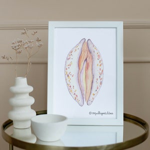Aquarelle Carte Postale - Anatomie Illustration - Coquillage Cauri - Empowerment Affiche Féministe Décoration - Pride LGBTQIA+ Éducation