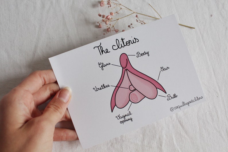 Anatomy Of The Clitoris Sex Education Scheme Postcard Etsy Denmark