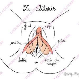 EN FR - Fichier NUMÉRIQUE - Version Anglaise et Française À Télécharger - Schéma Éducation Sexuelle Anatomique - Organes Génitaux Santé