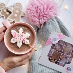 Cafe Delights Bon Bon Truffle Scented Soy Wax Melts - FREE SHIPPING AVAILABLE!
