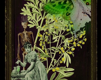 La Fée Verte “The Green Fairy” Giclee Print 8x10