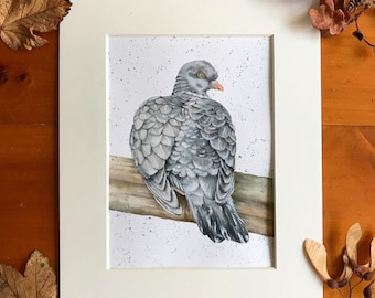 Pigeon Original Artwork - Mounted