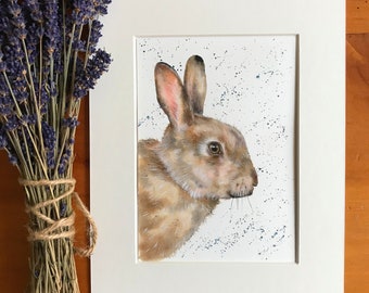 Bunny Rabbit Original Artwork - Mounted