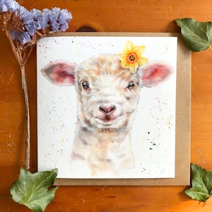 Spring Lamb Greetings Card