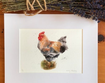 Rooster/cockerel giclee Fine Art print - Mounted