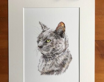 Grey cat giclee Fine Art print - Mounted