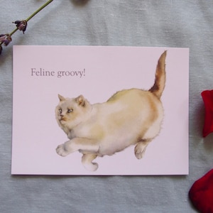 Design cartolina gatto