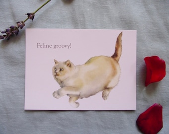 Cat postcard design