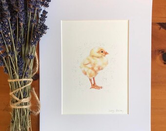 Chick giclee Fine Art print - Monté