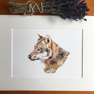 Wolf giclee Fine Art print - Mounted