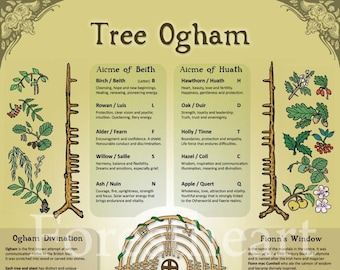 Tree Ogham, Forest Magic, ecofriendly A3 Print, Wall Art Poster, Infographic, Correspondence Chart, Celtic, Pagan, Druid, Tree Wisdom