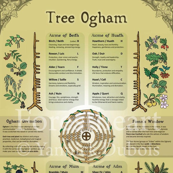 Tree Ogham, Forest Magic, ecofriendly A3 Print, Wall Art Poster, Infographic, Correspondence Chart, Celtic, Pagan, Druid, Tree Wisdom