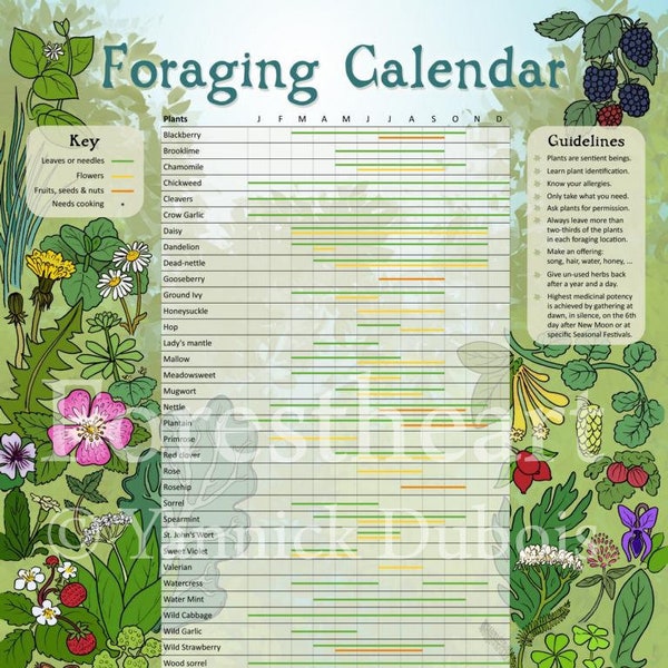 Harvesting and Wildcrafting Calendar Etsy UK