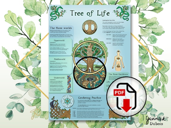 Tree Of Life Diagram Simple