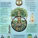 Tree of Life, Infographic, Correspondence Chart, Celtic, Pagan, Druid ...