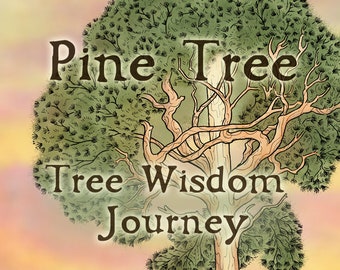 Pine Tree- Tree Wisdom Journey - online workshop, 108 minute recording, guided meditation, spiritual nature connection, video class