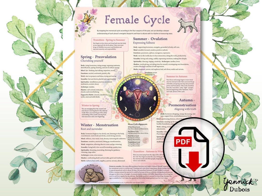 Menstrual Cycle Map, Female Cycle, Infographic, Period, Ovulation, Womb, Fertility Awareness