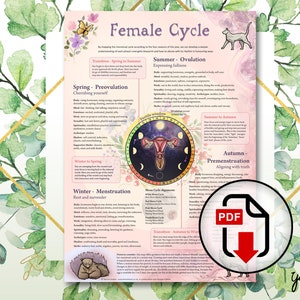 Menstrual Cycle map, Female Cycle, Infographic, Period, Ovulation, Womb, Fertility Awareness, Sacred Feminine, Gifts for her - PDF Download