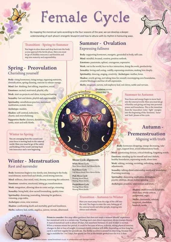 Menstrual Cycle Map, Female Cycle, Infographic, Period, Ovulation, Womb,  Fertility Awareness, Sacred Feminine, Gifts for Her PDF Download -   Canada