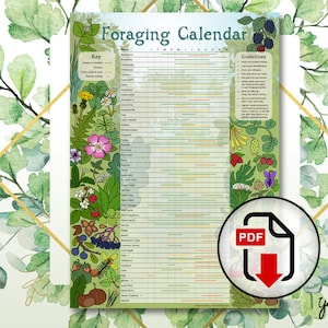 Digital Foraging Calendar, Infographic Poster, Herbalism, Wild Food, Plant Calendar, PDF file