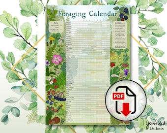 Digital Foraging Calendar, Infographic Poster, Herbalism, Wild Food, Plant Calendar, PDF file