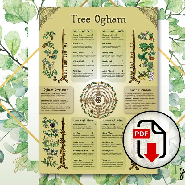 Tree Ogham, Infographic, Correspondence Chart, Celtic, Pagan, Druid, Tree Wisdom  - PDF Download