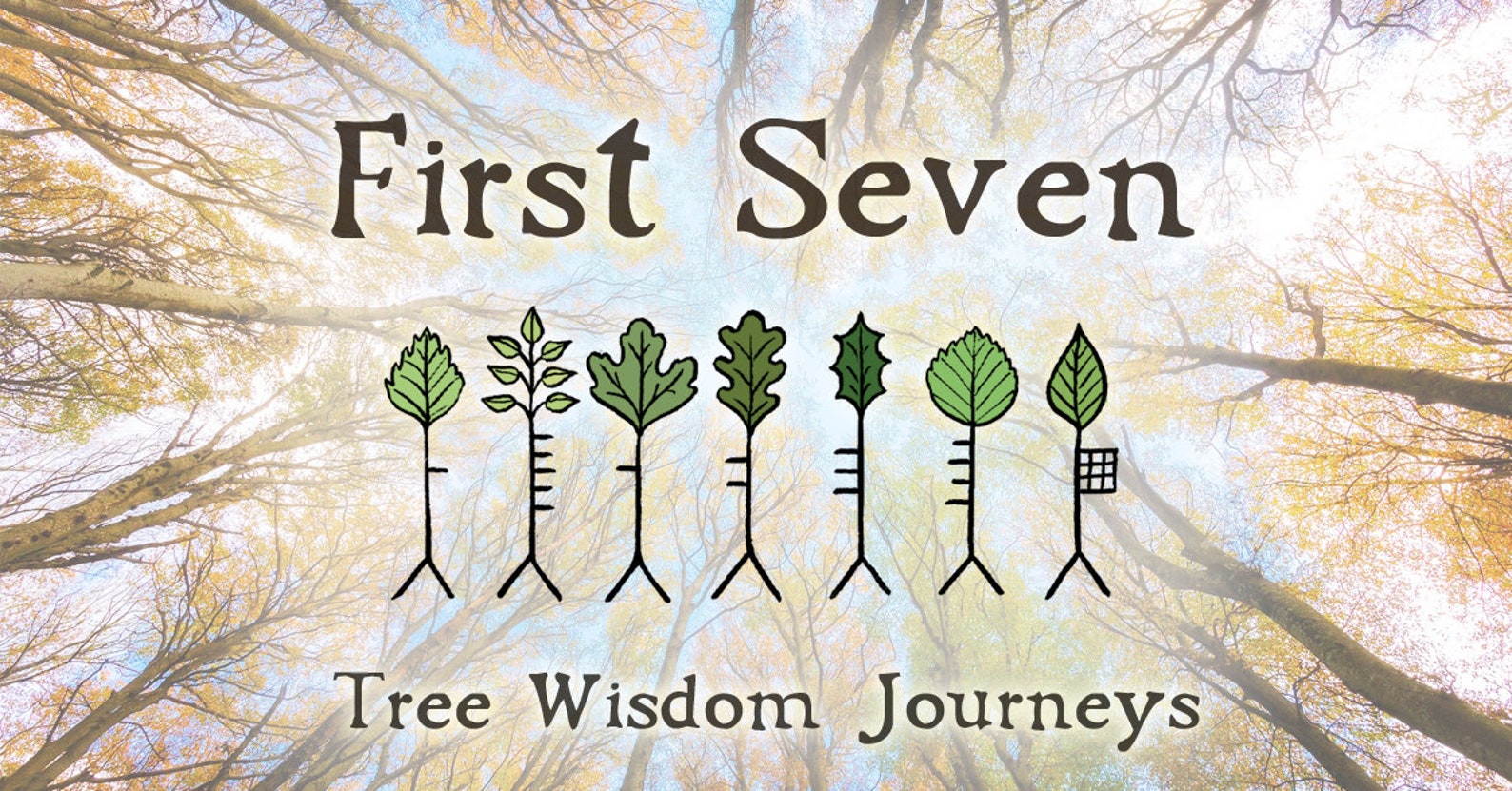 First Seven Tree Wisdom Journeys bundle 700 minute Etsy