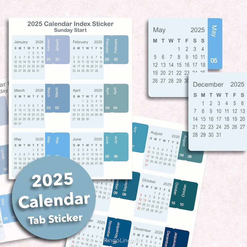 2025 4x6 Calendar - Etsy