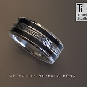 Titanium ring with Meteorite and double Black inlay