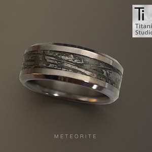 Meteorite ring with Titanium inner