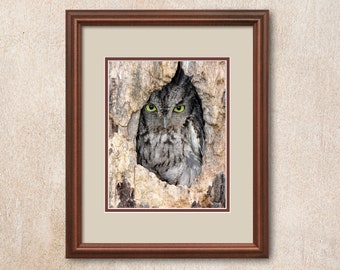 Gray Morph Eastern Screech Owl in Tree Cavity surrounded with a natural wood texture.