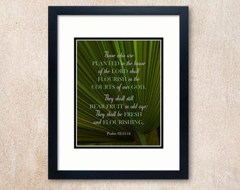 Psalm 92:13-14 Verse for Seniors bearing fruit and flourishing in old age superimposed on a digital photograph of a palmate frond palm leaf.