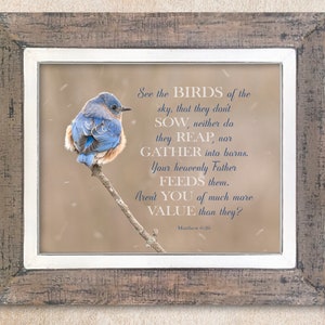 Matthew 6:26 Verse with winter bluebird on snowy perch. A classic inspirational verse on the Heavenly Father’s provision and care for us.
