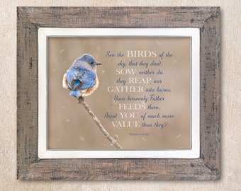 Matthew 6:26 Verse with winter bluebird on snowy perch. A classic inspirational verse on the Heavenly Father’s provision and care for us.