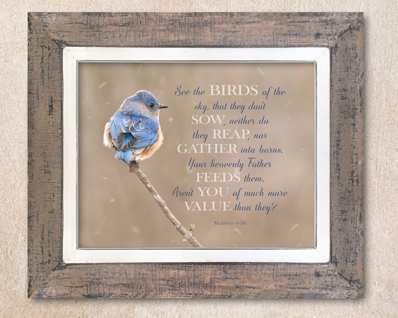 Bluebird With Scripture Bluebirds In The Bible