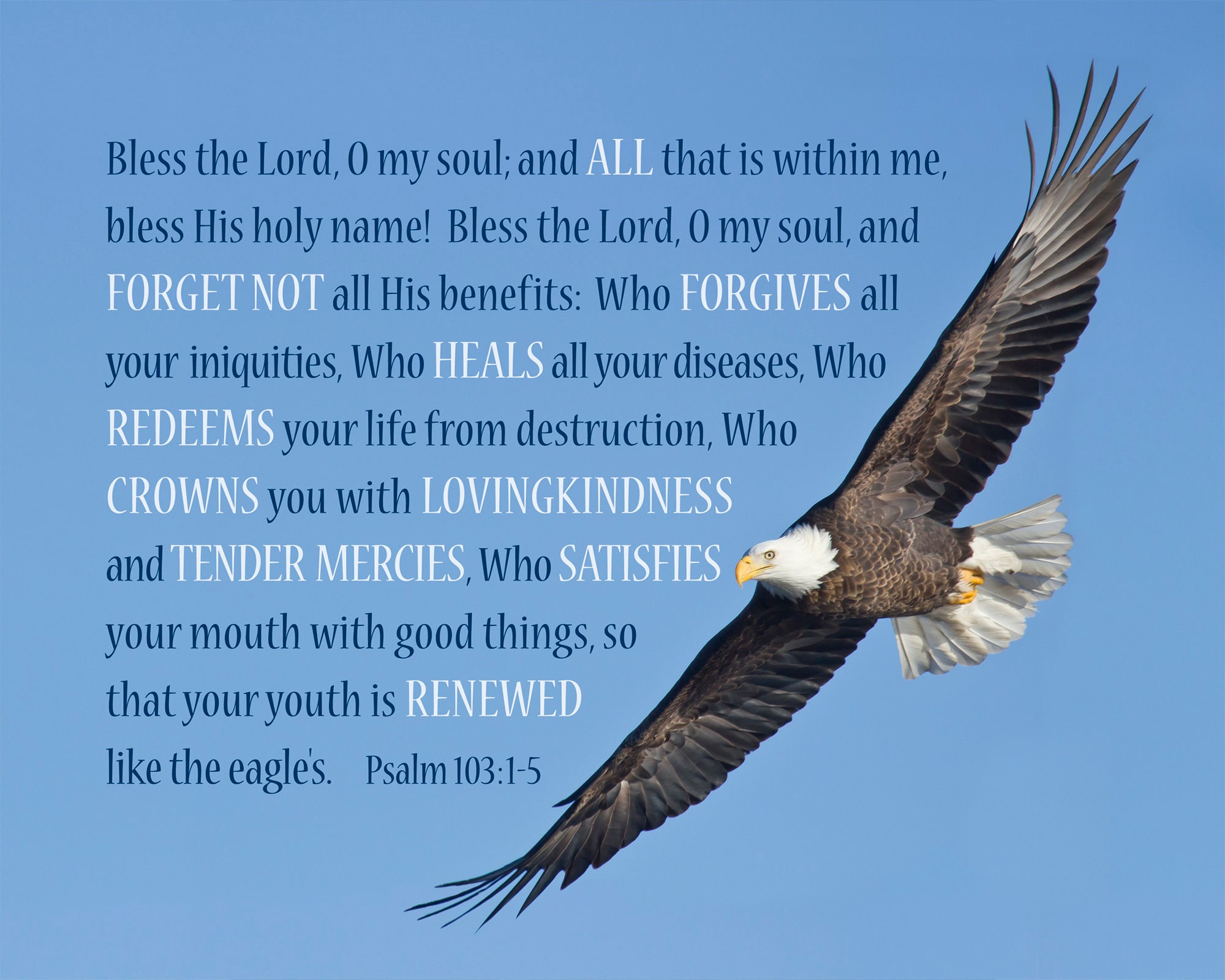 psalm-103-1-5-verse-superimposed-on-a-digital-photograph-of-an-eagle-in