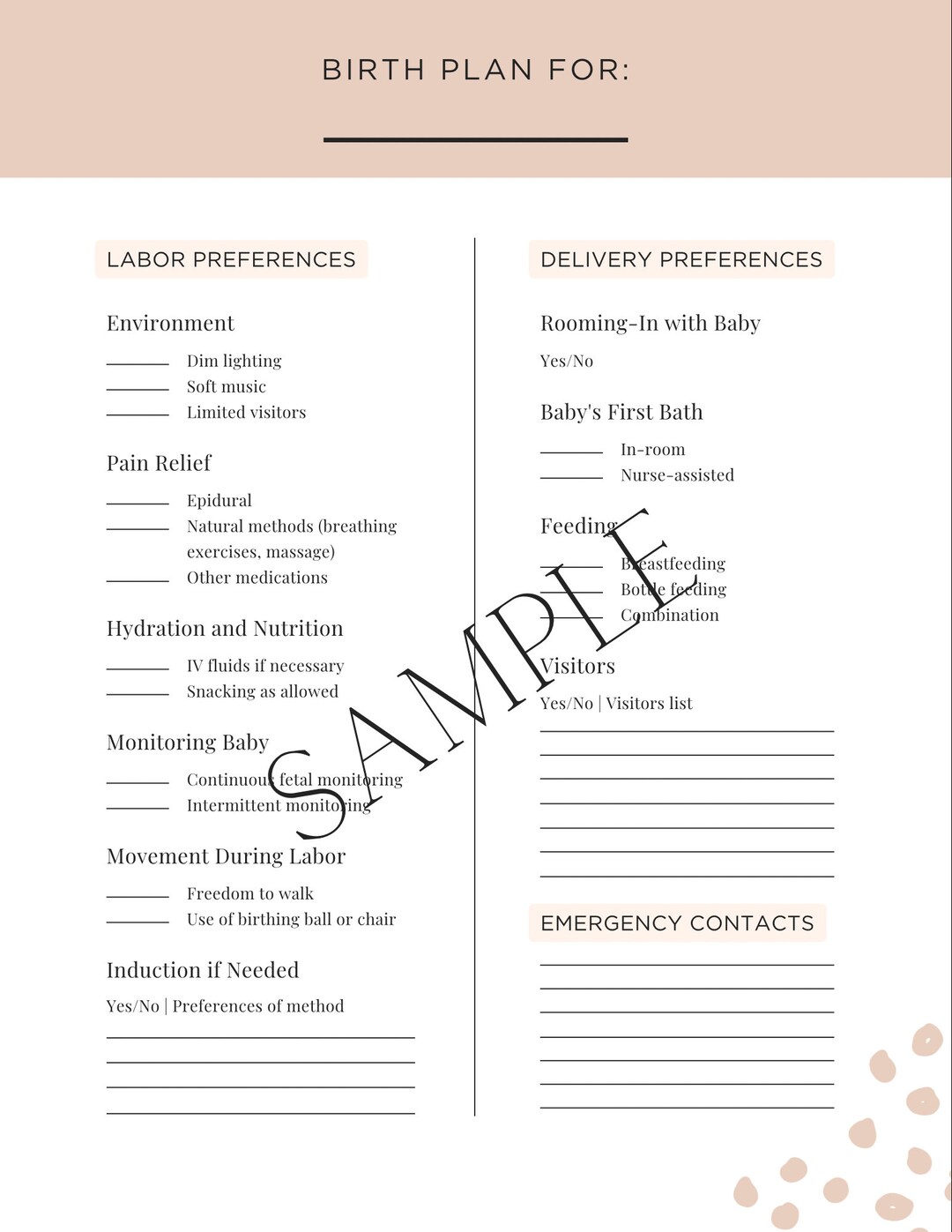 Birth Plan Layout, Labor and Delivery Birth Plan, Pregnancy Birth Plan ...
