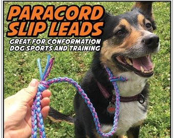 Dog Slip Lead: Great for Conformation, Dog Sports and Training. Made from 550lb Paracord.