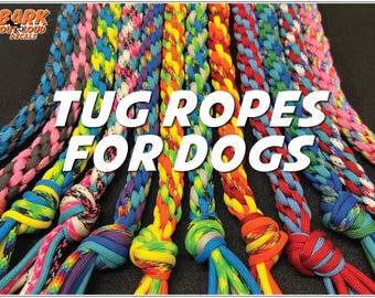 Dog Gear